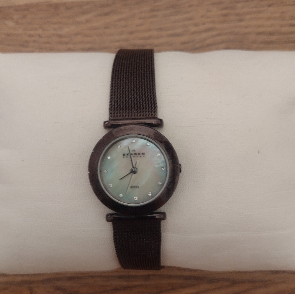 Skagen Women's 19 MM Dark Brown Mesh Strap Watch